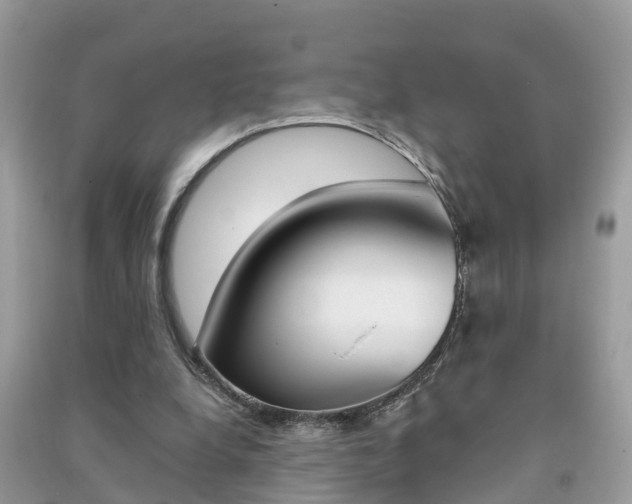 X0000091290248200708101032