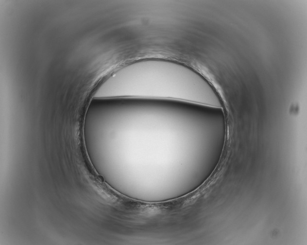 X0000091290249200708101032
