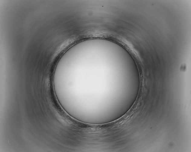 X0000091290250200708101032