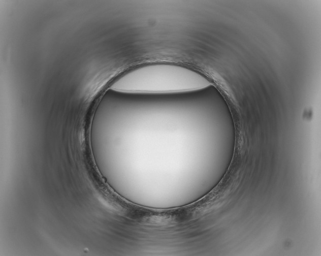 X0000091290251200708101032