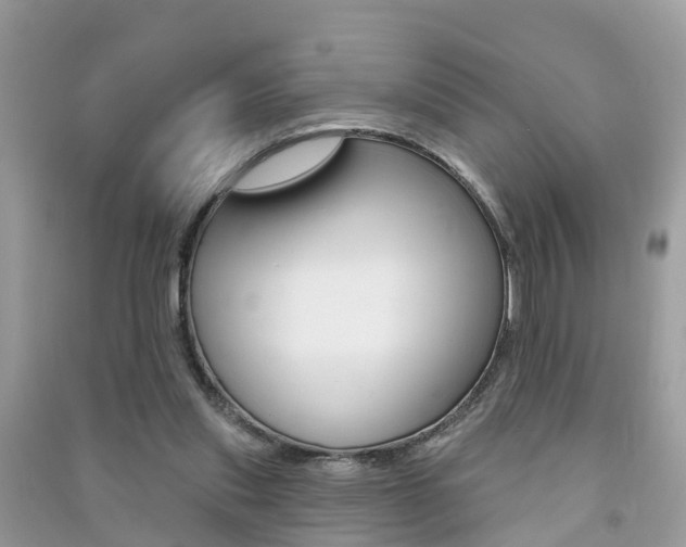 X0000091290253200708101032