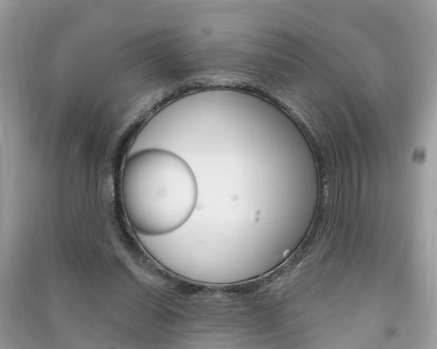 X0000091290254200708101032