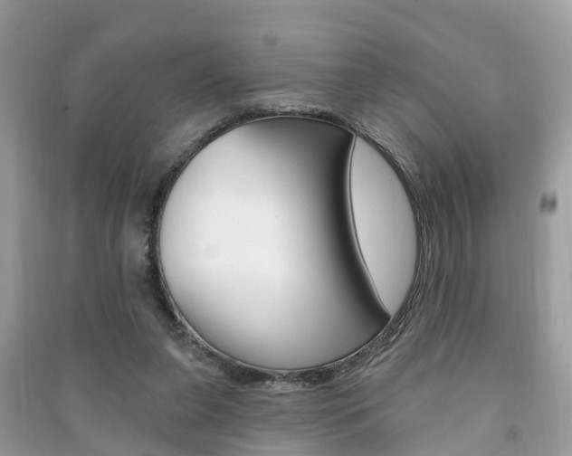 X0000091290255200708101032
