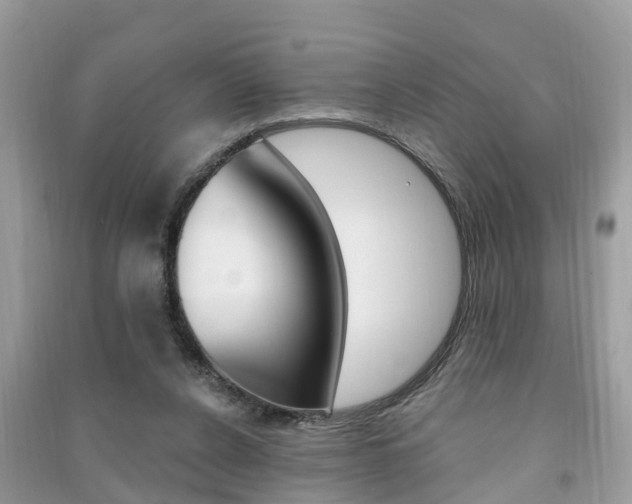X0000091290256200708101032