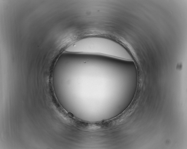 X0000091290257200708101032