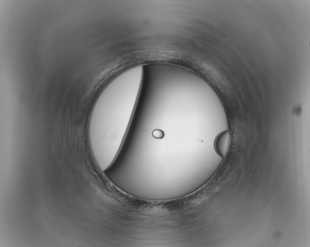 X0000091290258200708101032