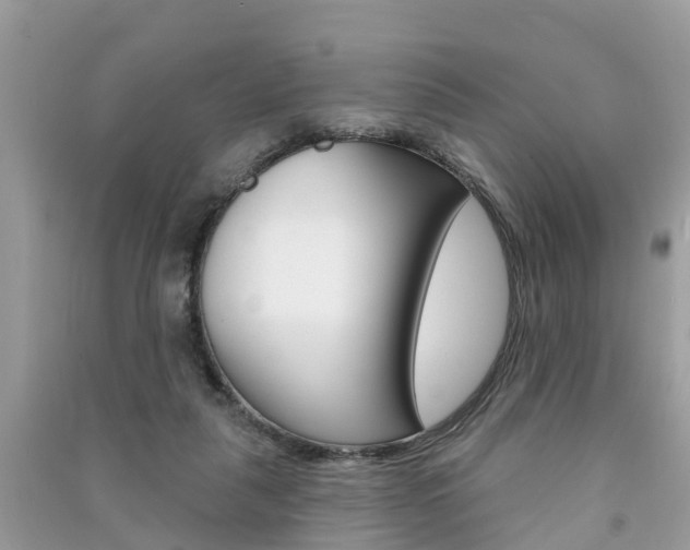 X0000091290259200708101032