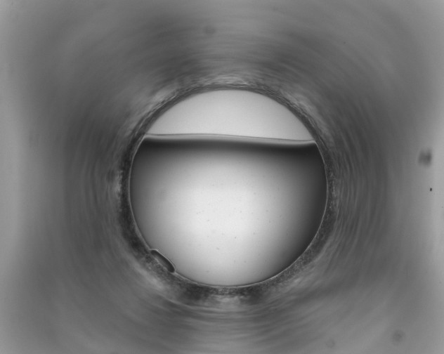 X0000091290260200708101032