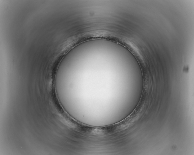 X0000091290261200708101032