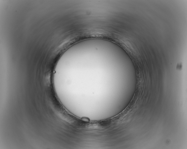 X0000091290262200708101032