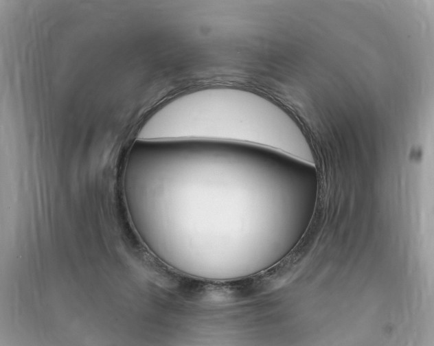 X0000091290263200708101032