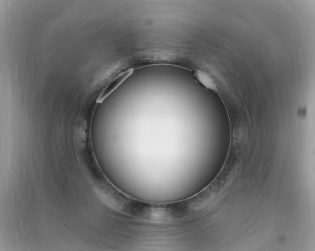 X0000091290264200708101032