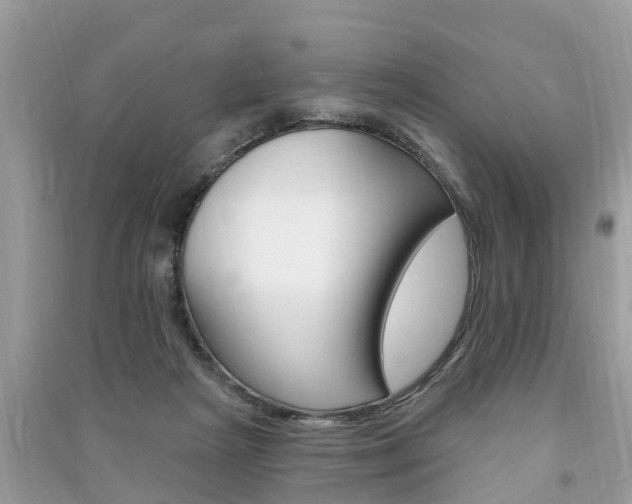 X0000091290265200708101032