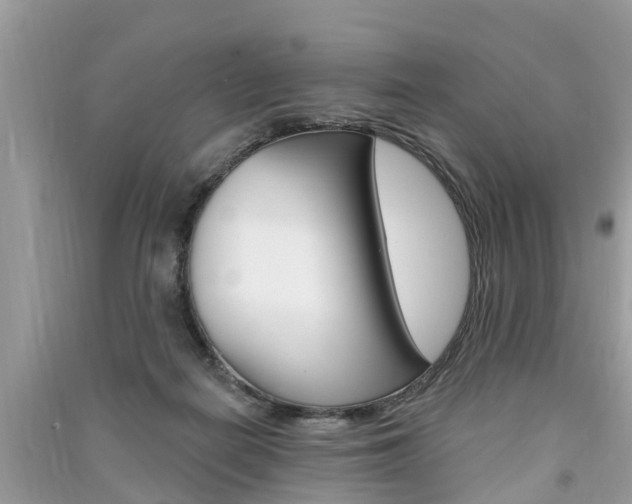 X0000091290266200708101032