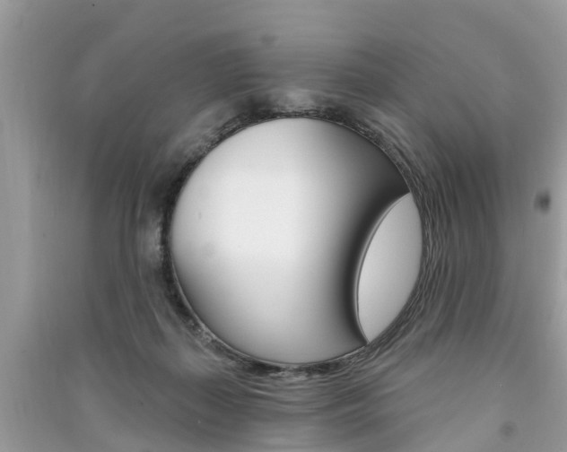 X0000091290267200708101032