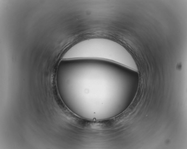 X0000091290268200708101032