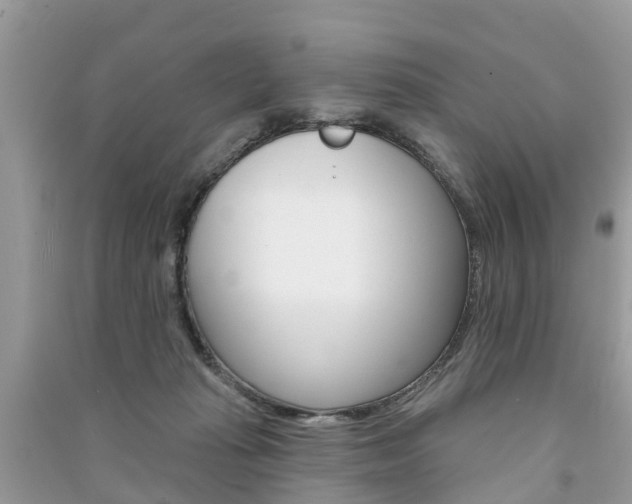 X0000091290269200708101032
