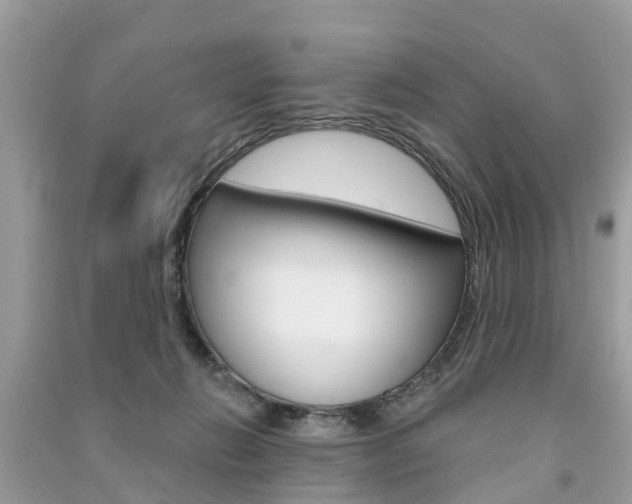 X0000091290270200708101032