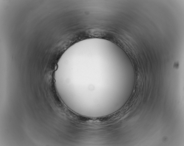 X0000091290271200708101032