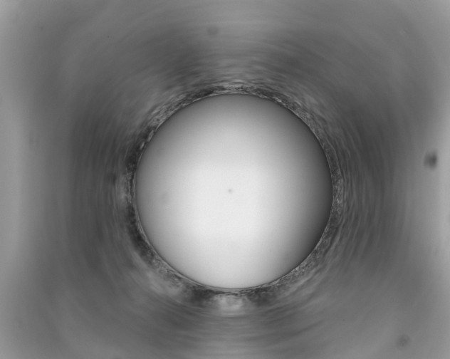 X0000091290272200708101032