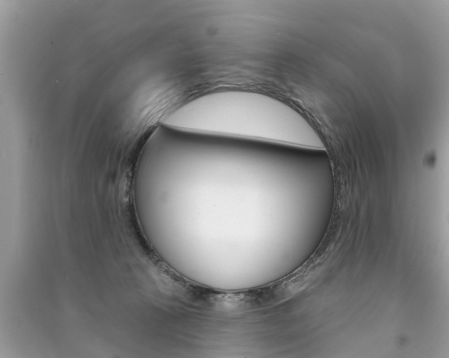 X0000091290273200708101032