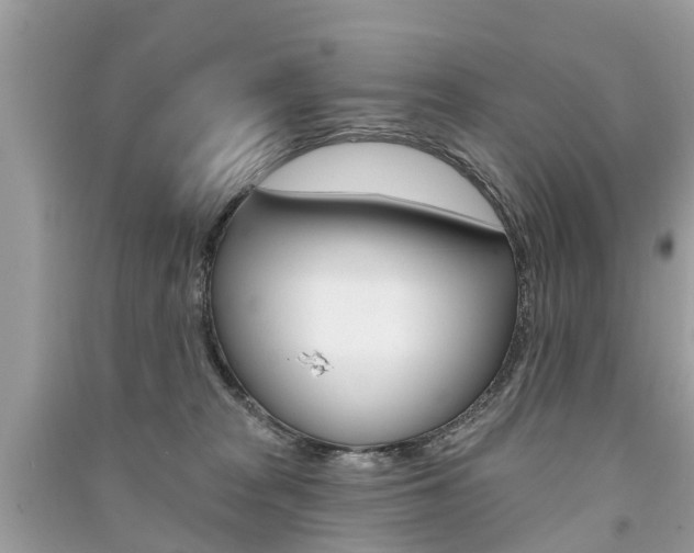 X0000091290277200708101032