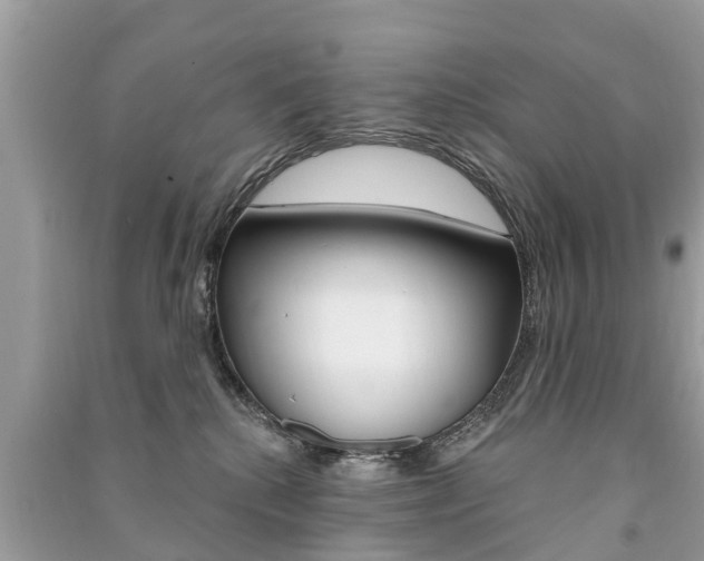 X0000091290280200708101032