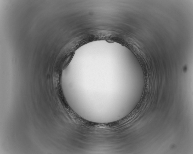X0000091290283200708101033