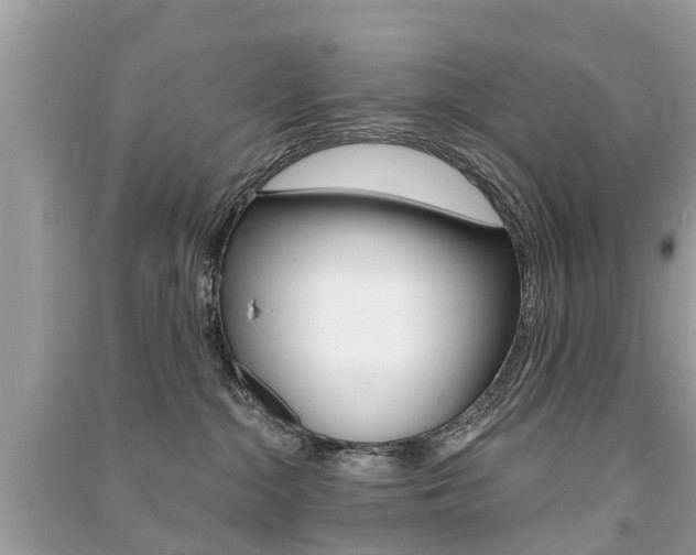 X0000091290284200708101033