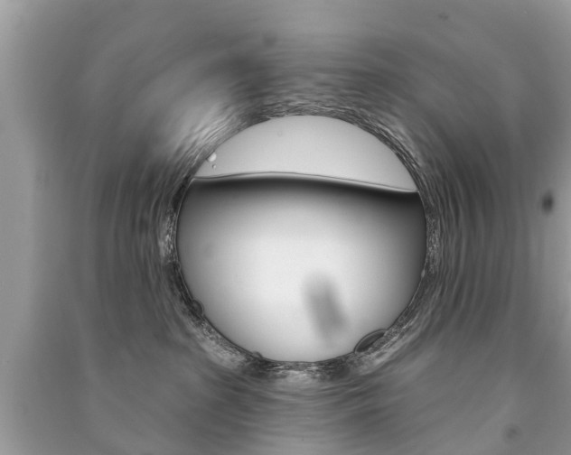 X0000091290285200708101033