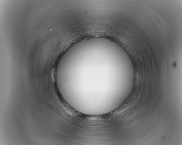 X0000091290286200708101033