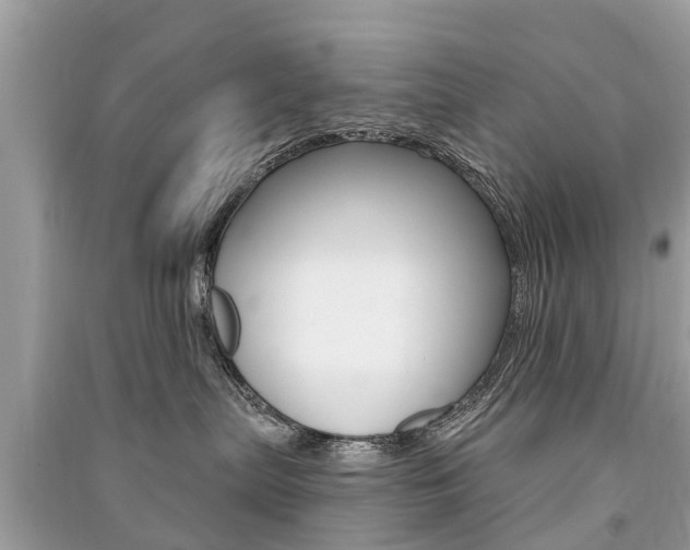 X0000091290287200708101033