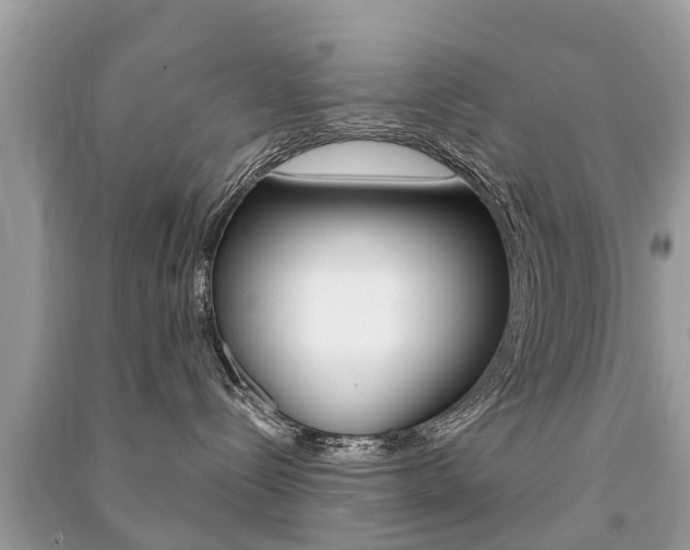 X0000091290288200708101033