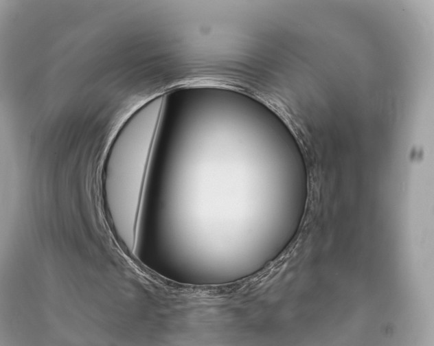 X0000091290289200708101032