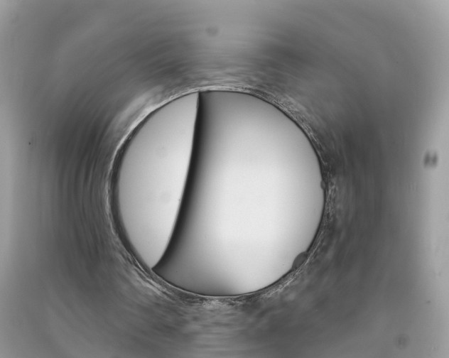 X0000091290290200708101032