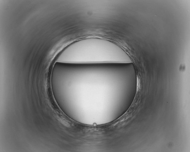 X0000091290291200708101032