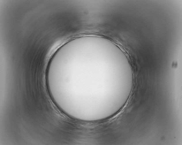 X0000091290293200708101032