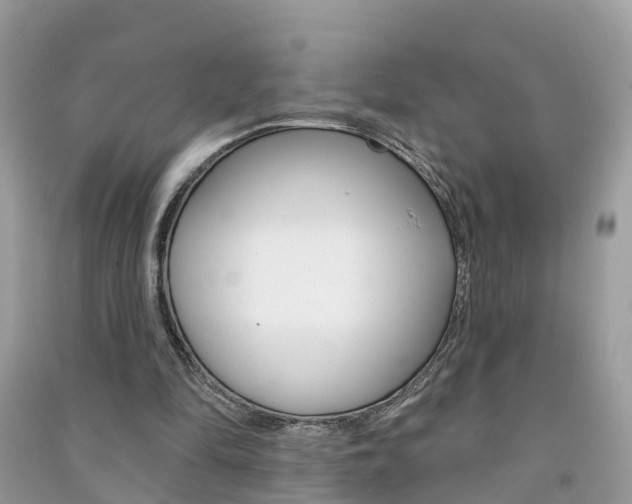 X0000091290294200708101032
