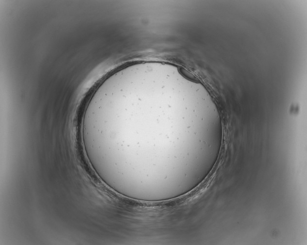 X0000091290295200708101032