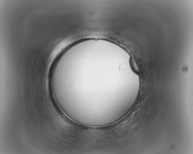 X0000091290296200708101032