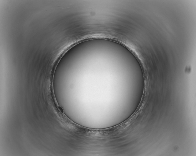 X0000091290297200708101032