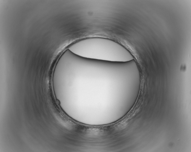 X0000091290298200708101032