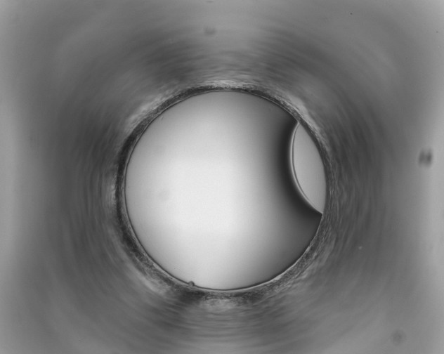 X0000091290299200708101032