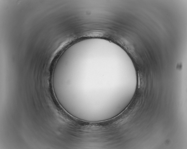 X0000091290300200708101032