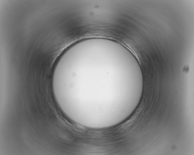X0000091290301200708101032