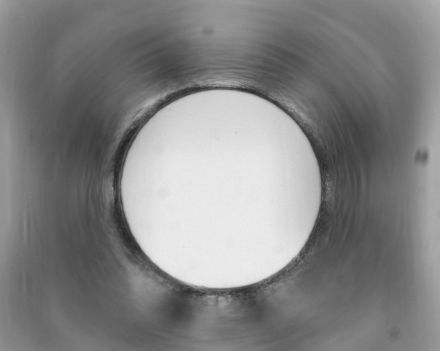 X0000091290302200708101032