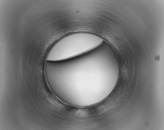 X0000091290303200708101032
