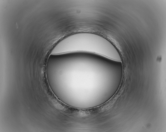 X0000091290305200708101032