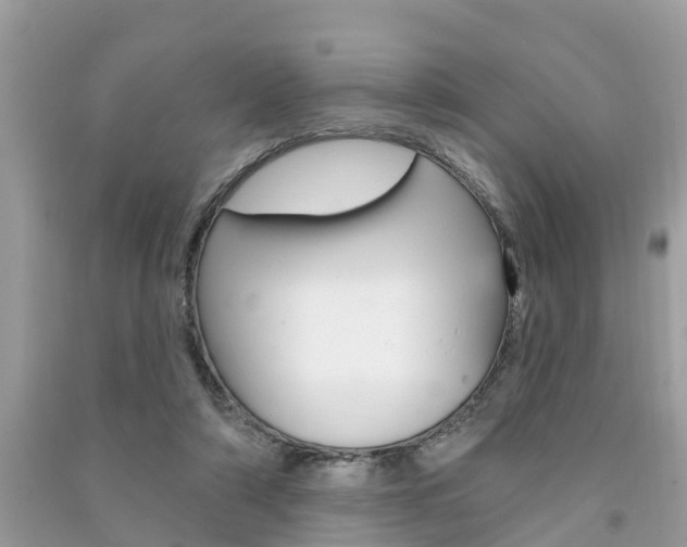 X0000091290306200708101032