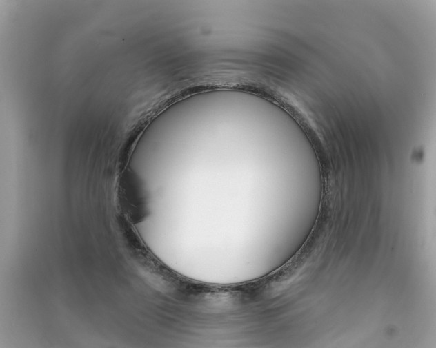 X0000091290307200708101032